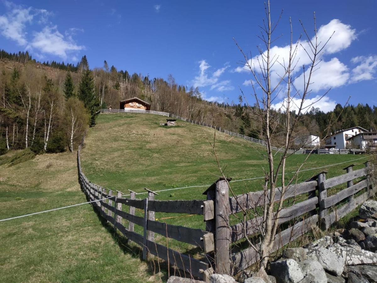 Willa Baita Del Nonno Dei Pitoi Bedollo Zewnętrze zdjęcie